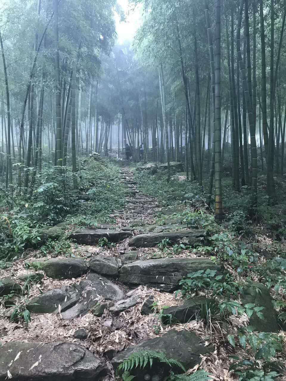 shanghai, mountain, hiking. hike